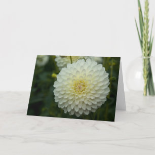 Dahlia Greeting Card Grusskarte Dahlie