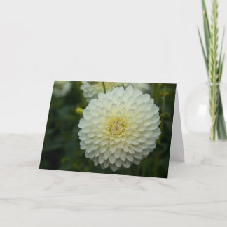 Dahlia Greeting Card | Grusskarte Dahlie