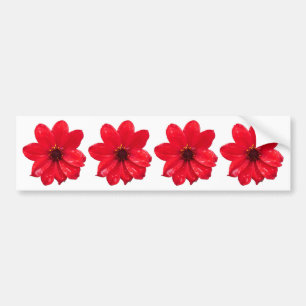 Dahlia in the Rain Bumper Sticker