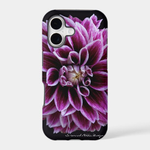 Dahlia iPhone Case