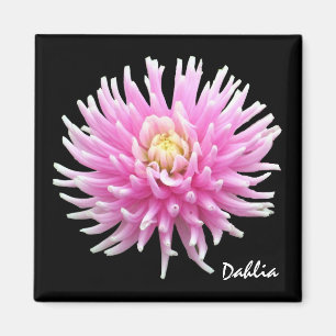 Dahlia Magnet