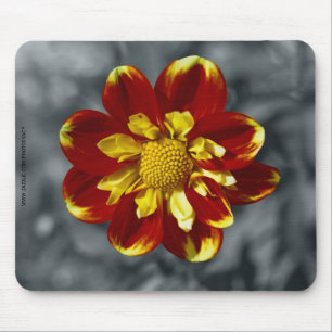 Dahlia Mouse Pad