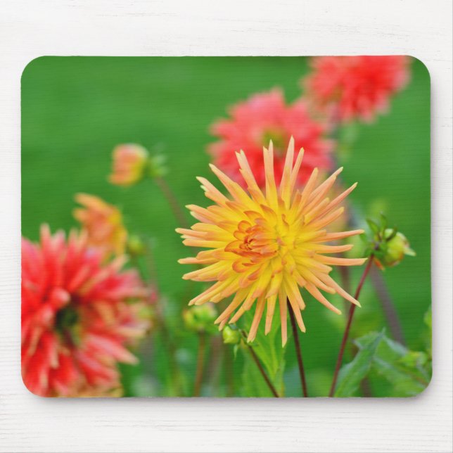 Dahlia Mouse Pad (Front)