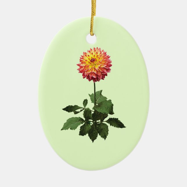 Dahlia Normandy Zachery Ceramic Tree Decoration (Front)