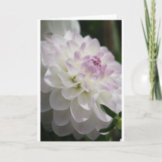 Dahlia Note Card