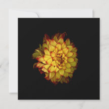 Dahlia Notecards and Greeting Cards