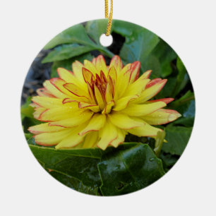 Dahlia ornament