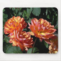 Dahlia Pam Howden #1 Mouse Pad