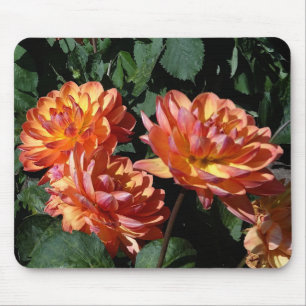 Dahlia Pam Howden #1 Mouse Pad