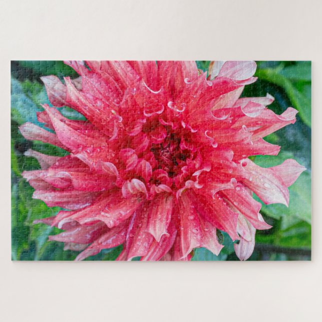 Dahlia Pink Canadian Flower Photography Jigsaw Puzzle (Horizontal)