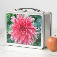 Dahlia Pink Canadian Flower Photography
