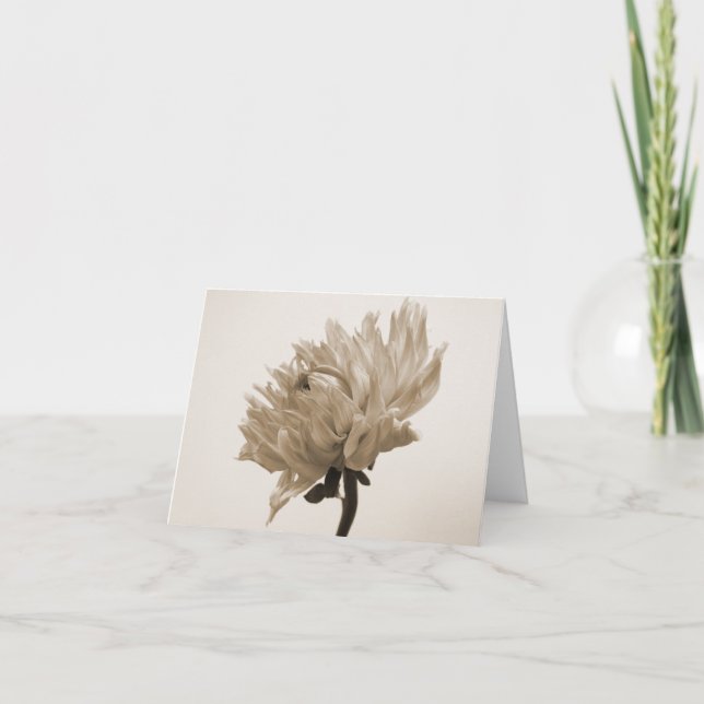 dahlia sepia print card (Front)