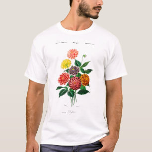 Dahlia  T-Shirt