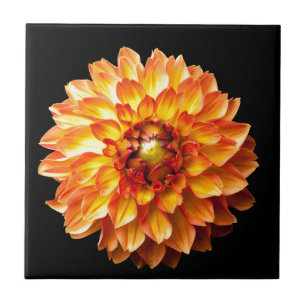 Dahlia Tile