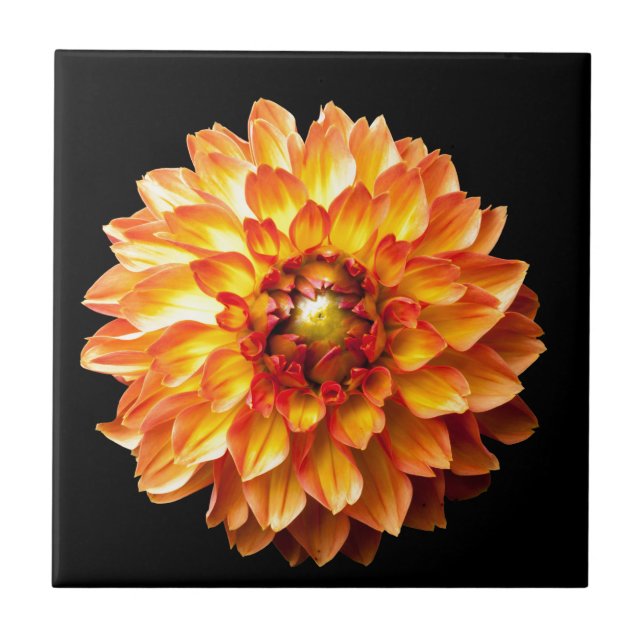 Dahlia Tile (Front)