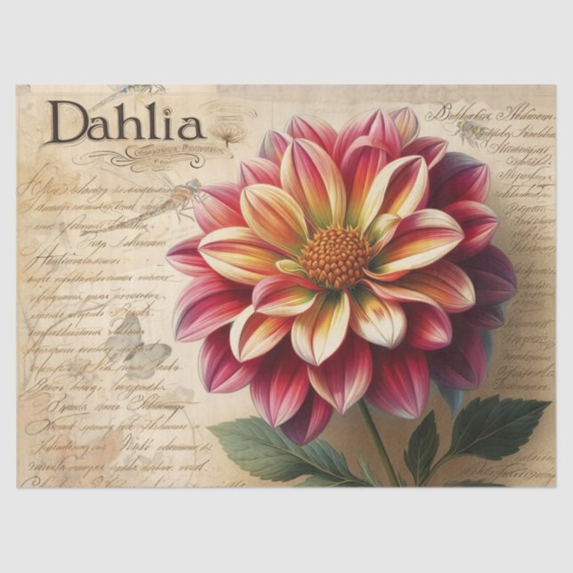 Dahlia Tissue Paper (Front)