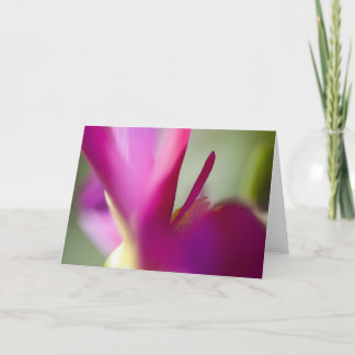 Dahlia up close greeting card