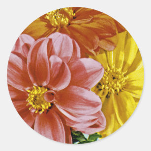 Dahlia Vintage Seed Packet Classic Round Sticker
