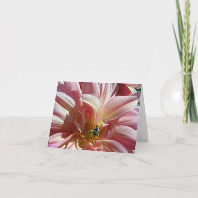 Dahlia with Bee Card (Front)