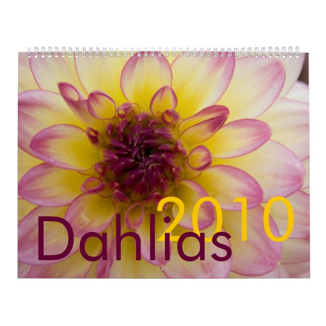 Dahlias 2010 Calendar (Cover)