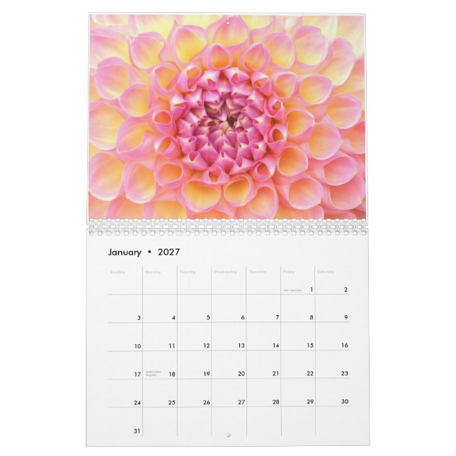 Dahlias 2011 Calendar (Jan 2027)