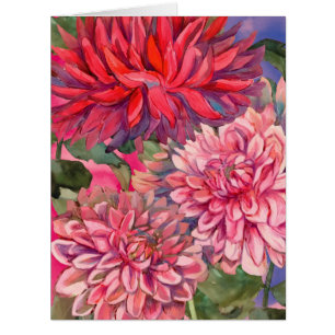dahlias flowers