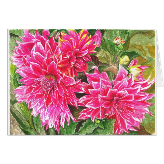 Dahlias in full bloom (Front Horizontal)