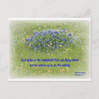 Daily Bread Postcard