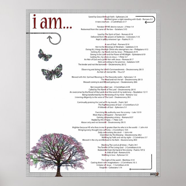 Daily Confessions Poster (Front)