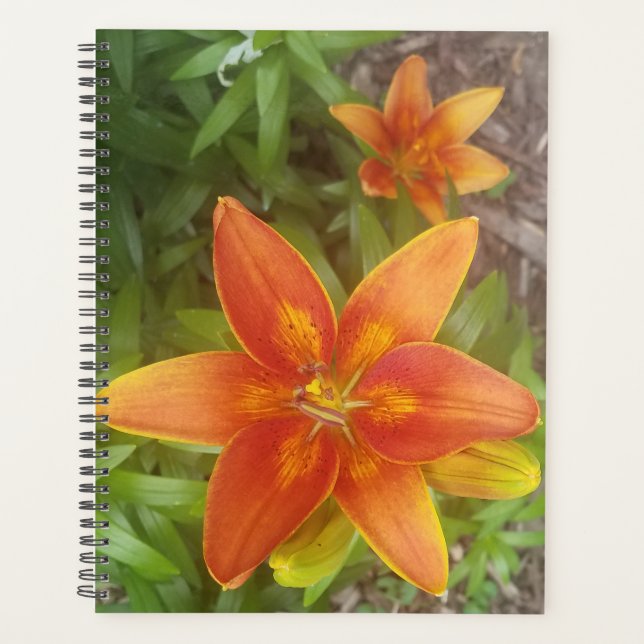 Daily Planner (Front)