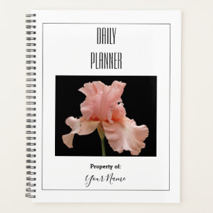 Daily Planner - Soft Pink Flower- HAMbWG