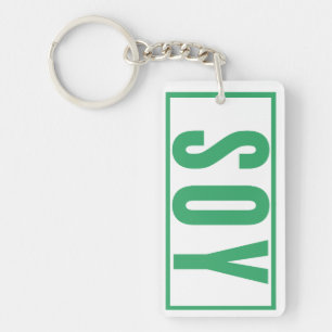 Daily Reminder car keys house keys  Key Ring