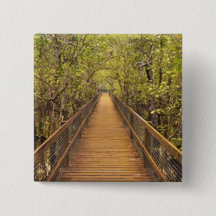 Daintree National Park (UNESCO World Heritage 15 Cm Square Badge
