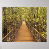 Daintree National Park UNESCO World Heritage