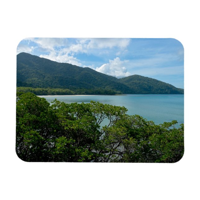 Daintree Rainforest at Cape Tribulation Magnet (Horizontal)