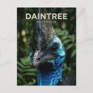 Daintree Rainforest Australia Postcard