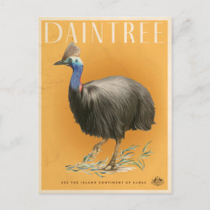 Daintree Rainforest Cassowary Postcard