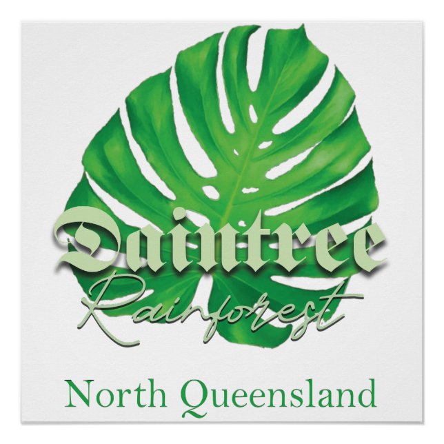 Daintree Rainforest Poster (Front)