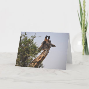 Dainty Card