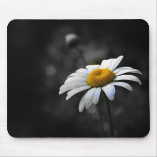Dainty Daisy Mouse Pad