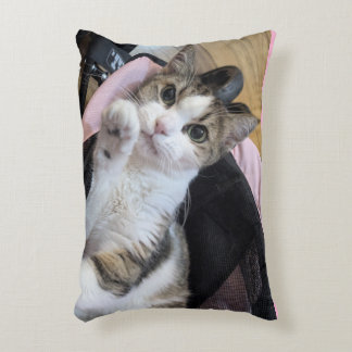 Dainty Doll Pink Buggy-Soft Pink Accent Pillow