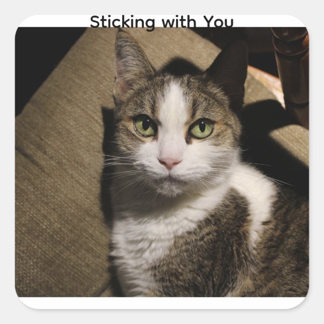 Dainty Doll Sticker-Sticking With You Square Sticker (Front)
