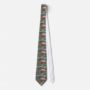 Dainty Flamingo Tie