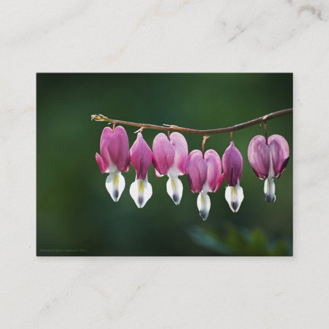 Dainty Hearts Mini Print Business Card (Front)