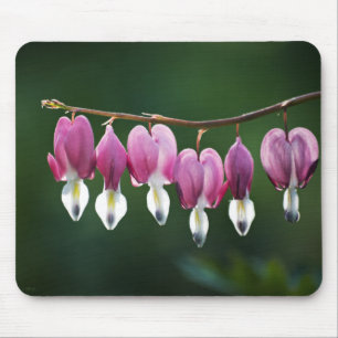 Dainty Hearts Mousepad