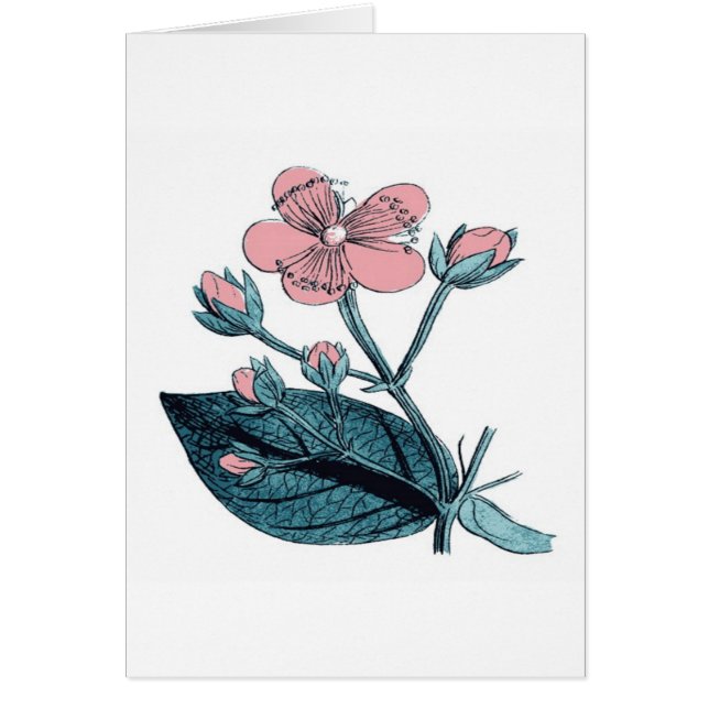 Dainty Pink Floral (Front)