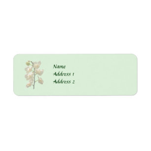 Dainty White Orchids Wedding Products
