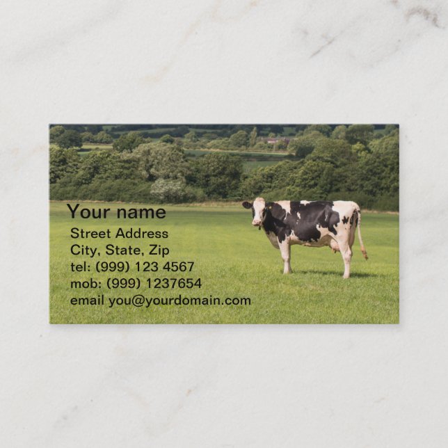 Dairy Cow business card (Front)