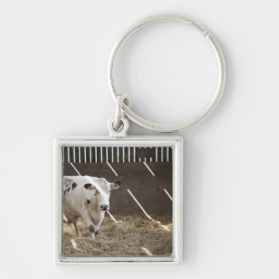 Dairy cow key ring