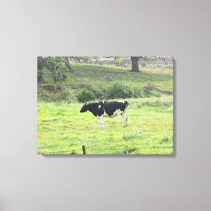 Dairy Cow Photo Wall Canvas Art
